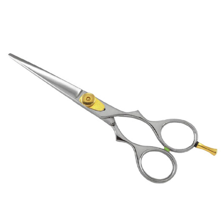 Professional Hair Cutting Scissor