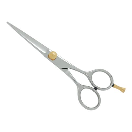 Salon Scissors Manufacturer and Exporter