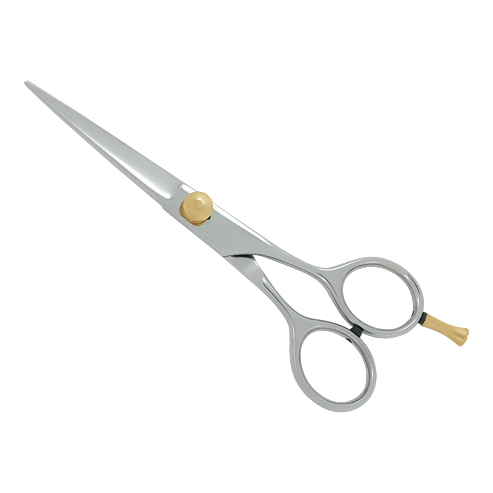 Salon Scissors Manufacturer and Exporter